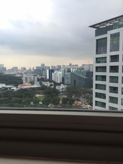 Amaryllis Ville (D11), Condominium #128526232